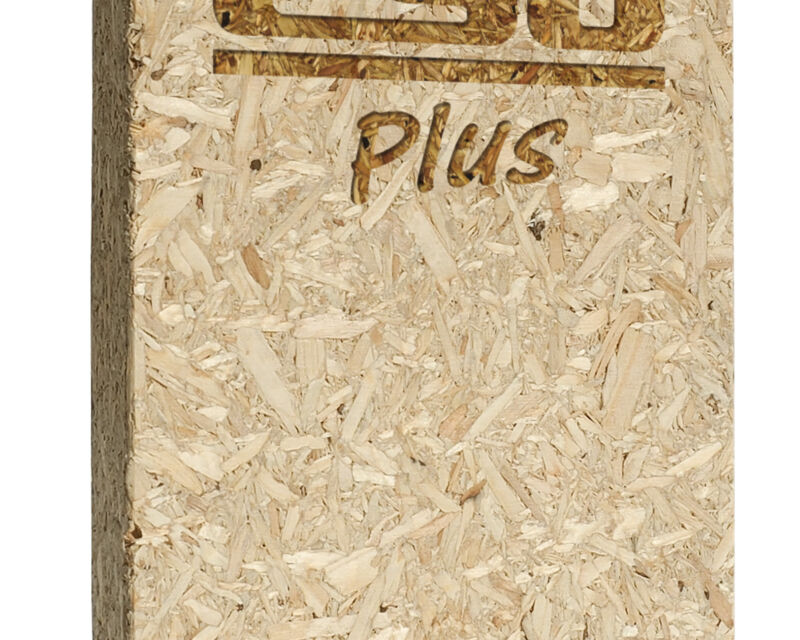 Esb plus Logo